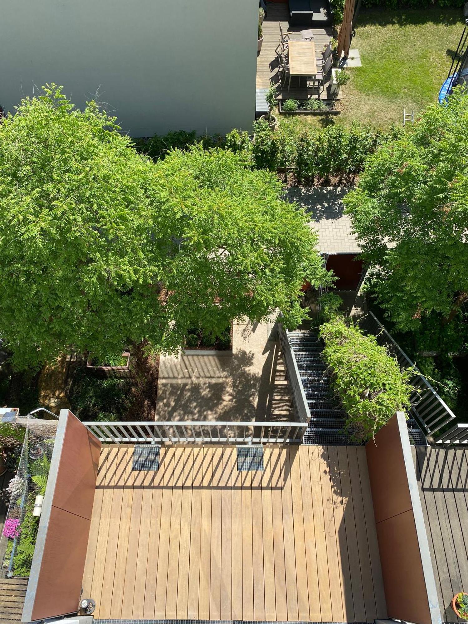 Townhouse Alaunpark Vila Dresden Exterior foto